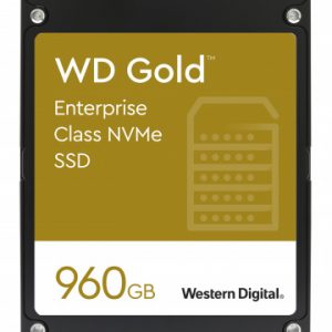 WD Gold 0.96TB Enterprise NVMe SSD - WDS960G1D0D